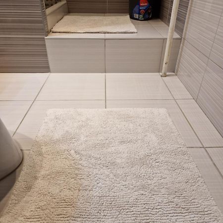 Erzsebet Apartman, Free Parking Budapest Luaran gambar